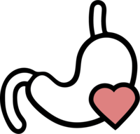 zdravé zažívání